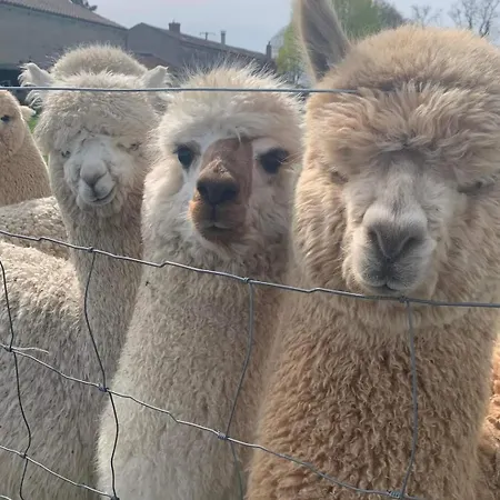 La Petite Maison A Charming, Peaceful In The Countryside Holiday home Argentonnay