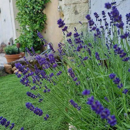 La Petite Maison A Charming, Peaceful In The Countryside Ferienhaus