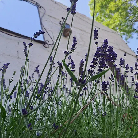 La Petite Maison A Charming, Peaceful In The Countryside * Argentonnay