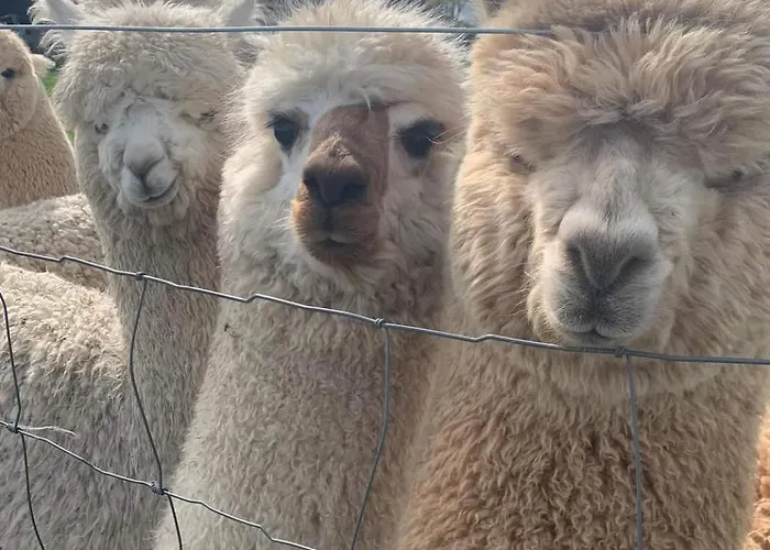 La Petite Maison A Charming, Peaceful In The Countryside Prázdninový dům Argentonnay