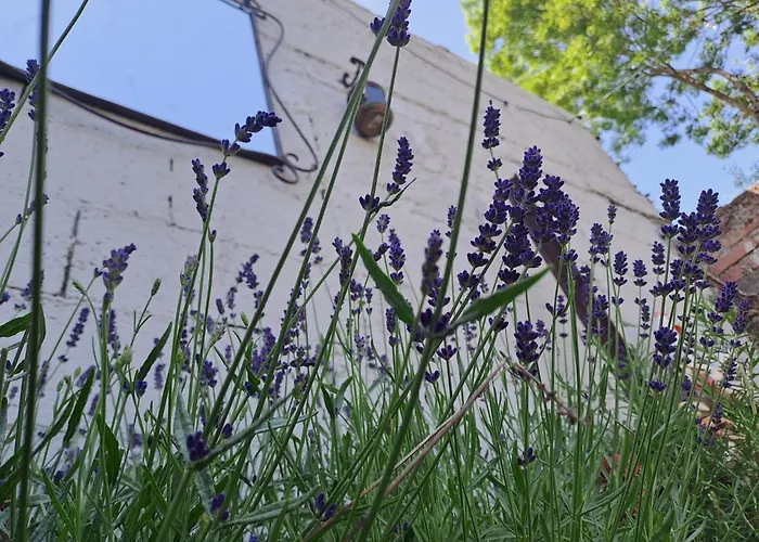 La Petite Maison A Charming, Peaceful In The Countryside * Argentonnay