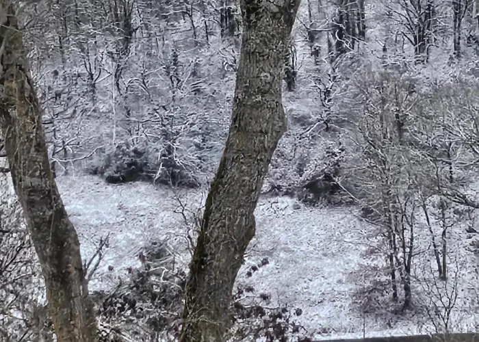 Prázdninový dům La Petite Maison A Charming, Peaceful In The Countryside